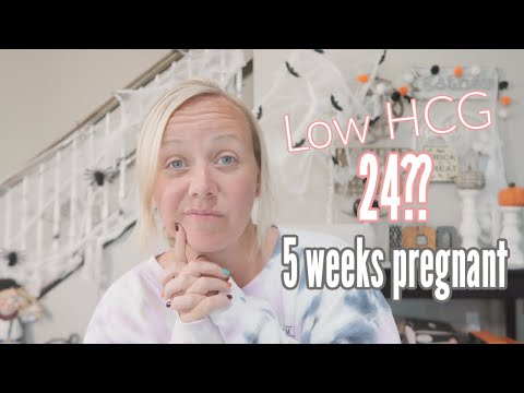 Low HCG Results at 5 Weeks Pregnant After 2 Miscarriages!